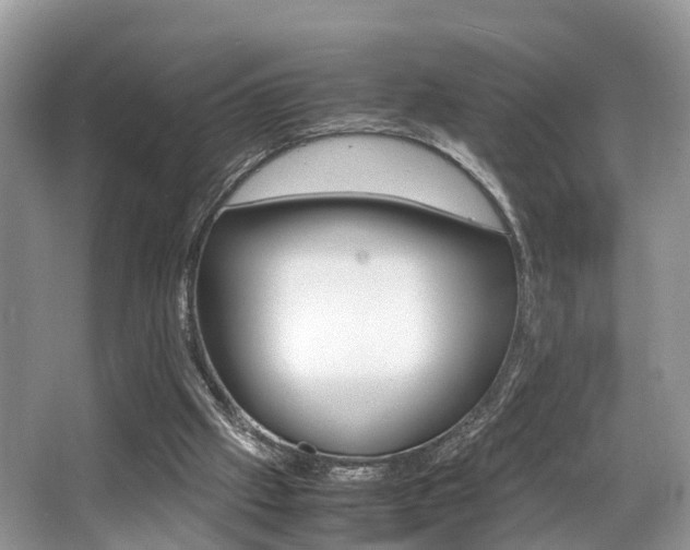 X0000066000057200603031038