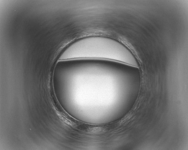 X0000066000058200603031038