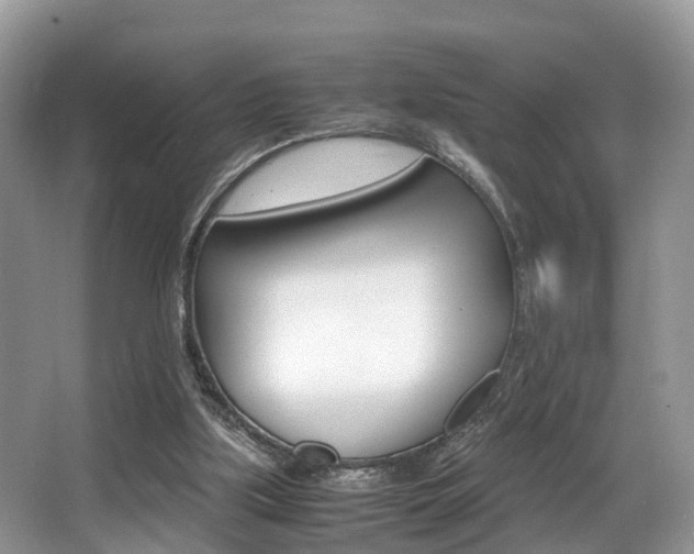 X0000066000059200603031038