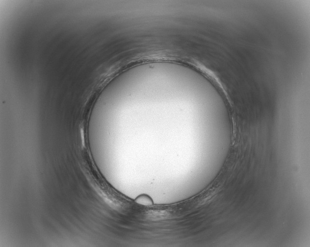 X0000066000061200603031038
