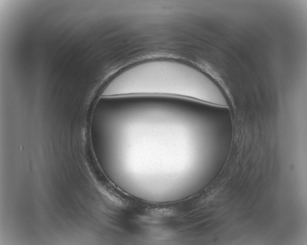 X0000066000063200603031038