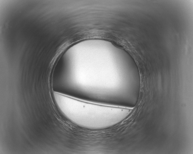 X0000066000099200603031038