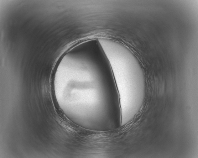 X0000066000100200603031038