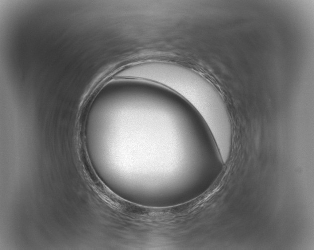 X0000066000101200603031038