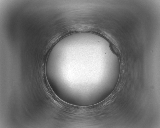 X0000066000105200603031038