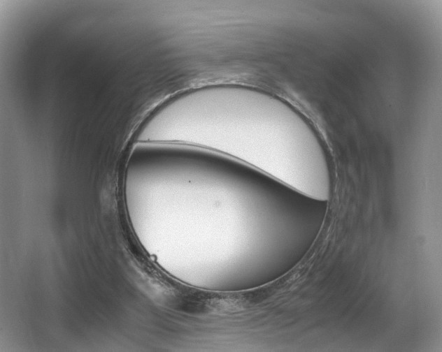 X0000066000107200603031038