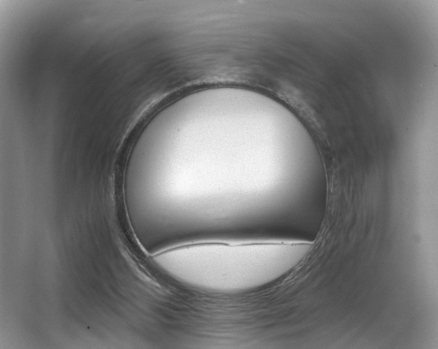 X0000066000108200603031038