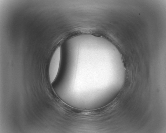 X0000066000117200603031038