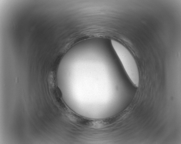 X0000066000121200603031038