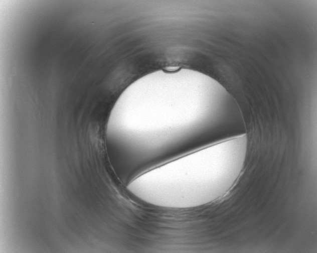 X0000066000140200603031038