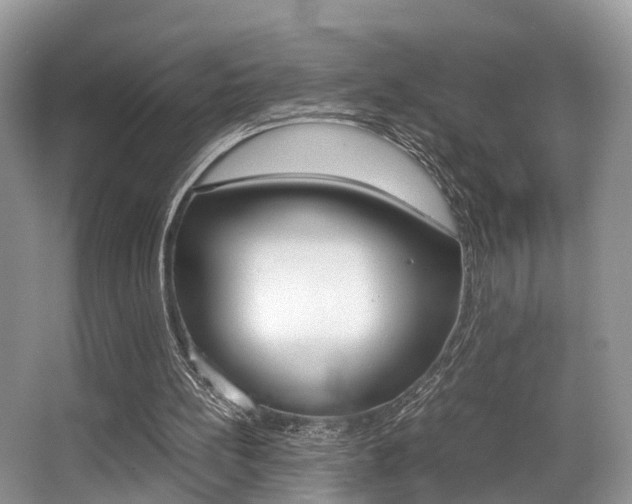X0000066000148200603031037