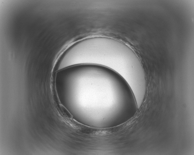 X0000066000152200603031037