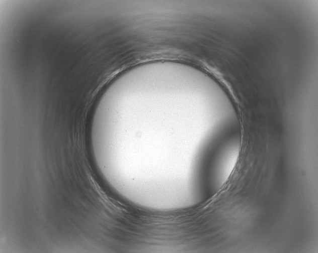 X0000066000154200603031037