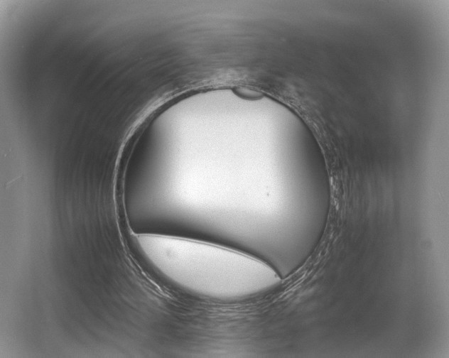 X0000066000196200603031037