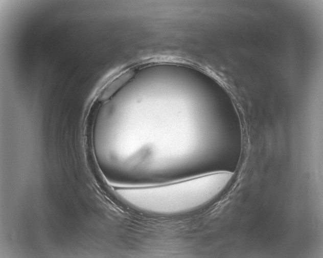 X0000066000199200603031037