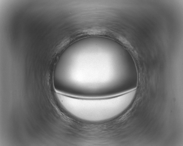 X0000066000201200603031037