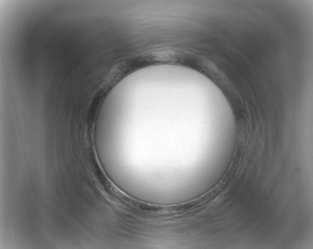 X0000066000213200603031036