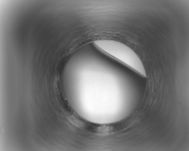 X0000066000225200603031036