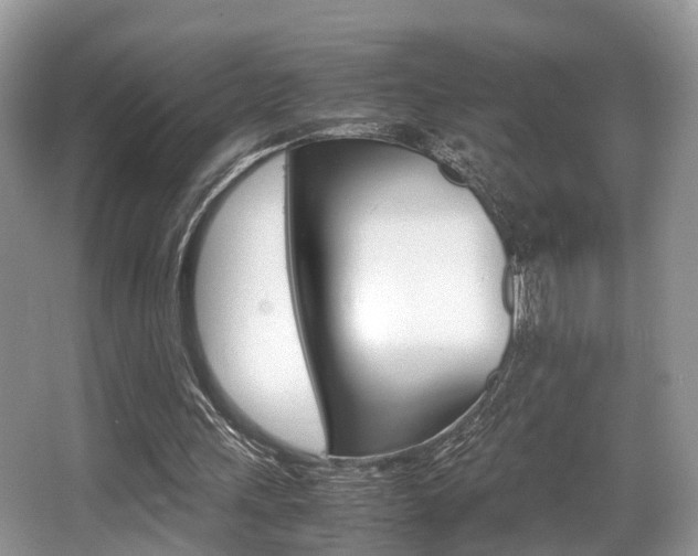 X0000066000243200603031035