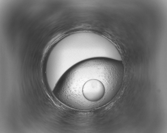 X0000066000245200603031035