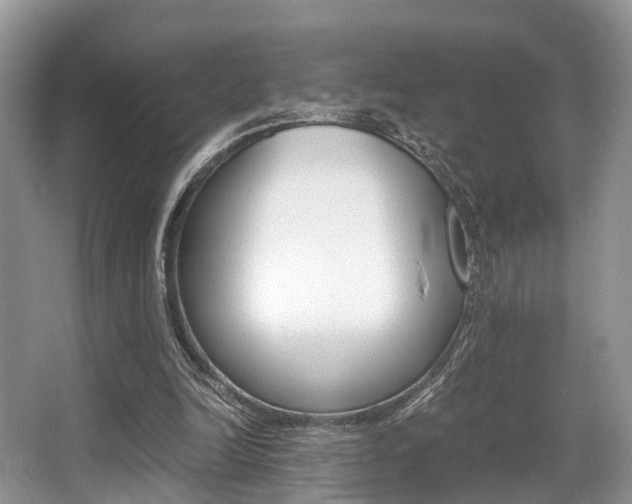 X0000066000246200603031035