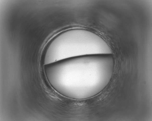 X0000066000247200603031035