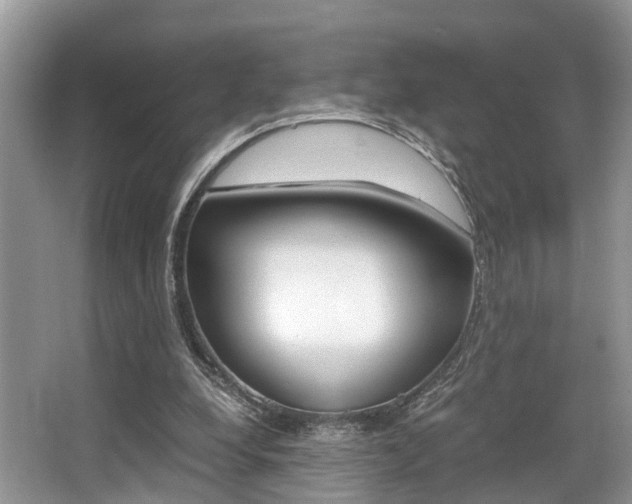 X0000066000248200603031035