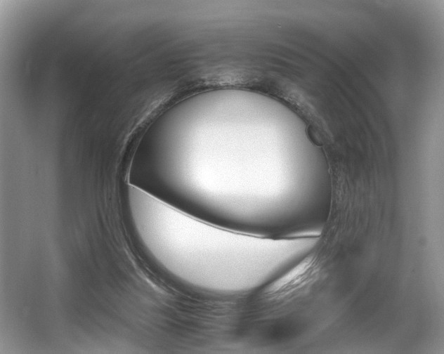 X0000066000251200603031035