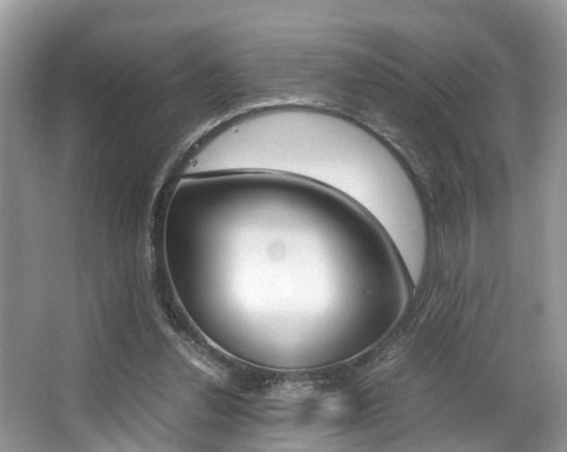 X0000066000252200603031035