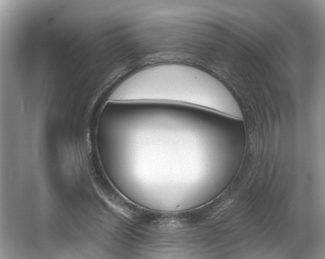 X0000066000254200603031035