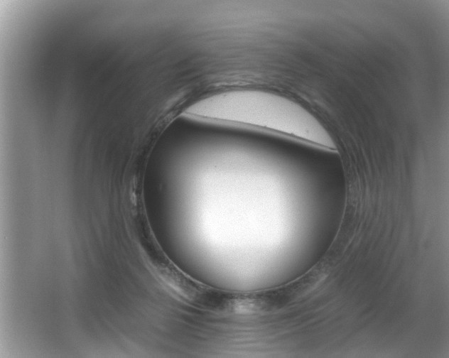 X0000066000264200603031035