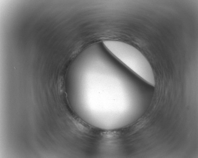 X0000066000273200603031036