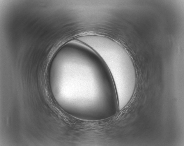 X0000066000289200603031035