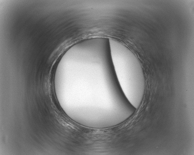 X0000066000290200603031035