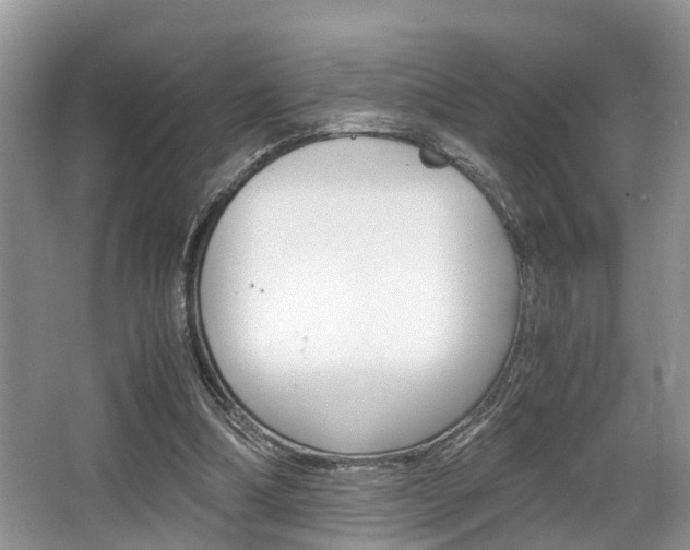 X0000066000298200603031035