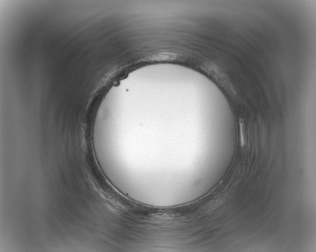 X0000066000300200603031035