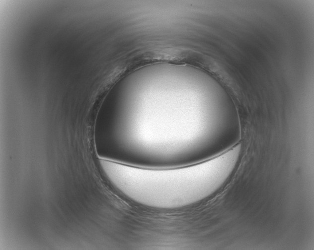 X0000066000305200603031035