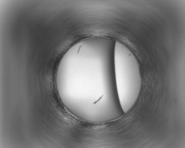 X0000066000306200603031035