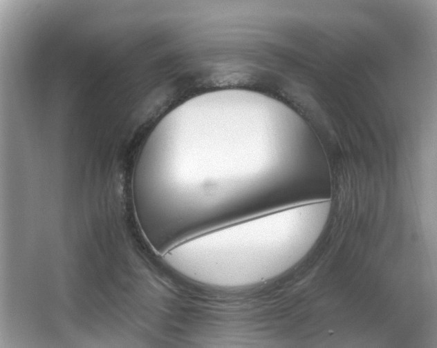 X0000066000308200603031035