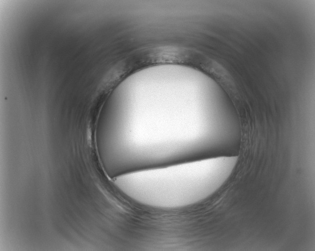 X0000066000310200603031035