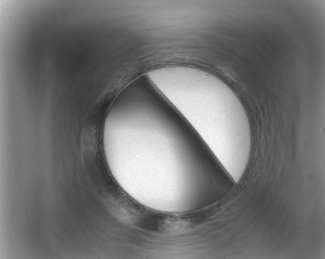 X0000066000311200603031035