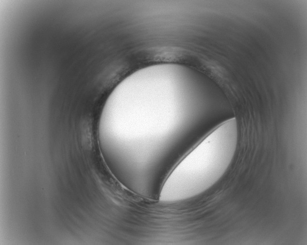X0000066000312200603031035