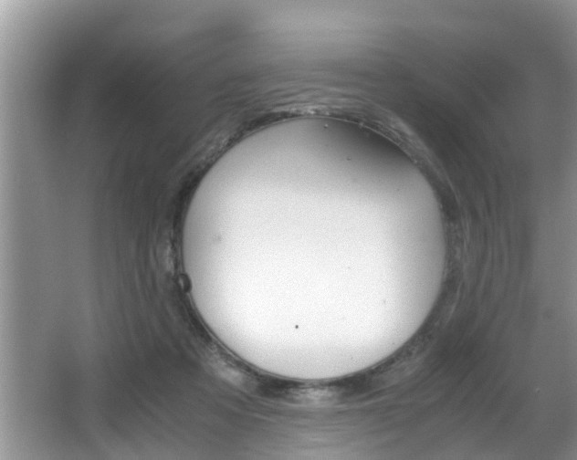 X0000066000313200603031035