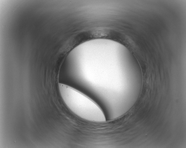 X0000066000315200603031035