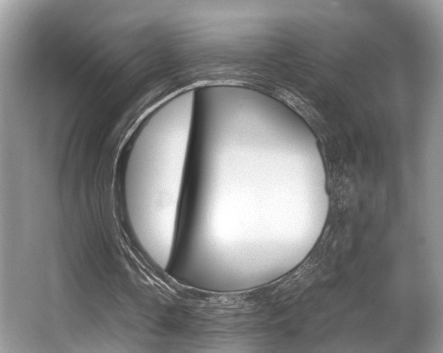 X0000066000338200603031033