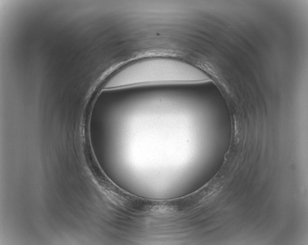 X0000066000348200603031034