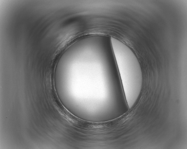 X0000066000349200603031034