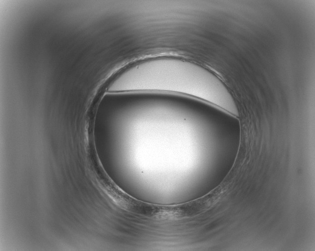 X0000066000350200603031034