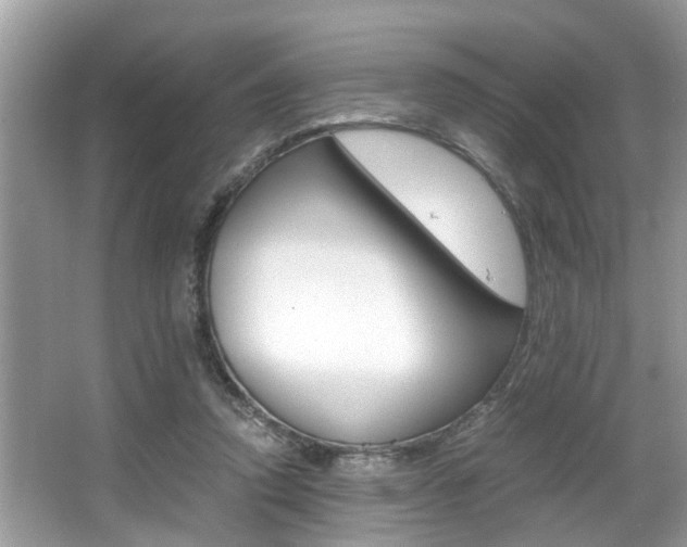 X0000066000354200603031034