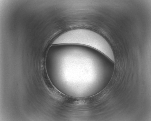 X0000066000356200603031034